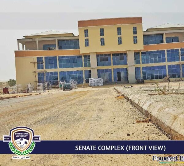 Borno State University
