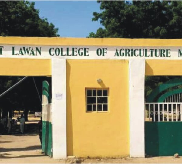 Mohamet Lawan College Of Agric